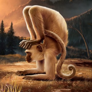 monkey-yoga